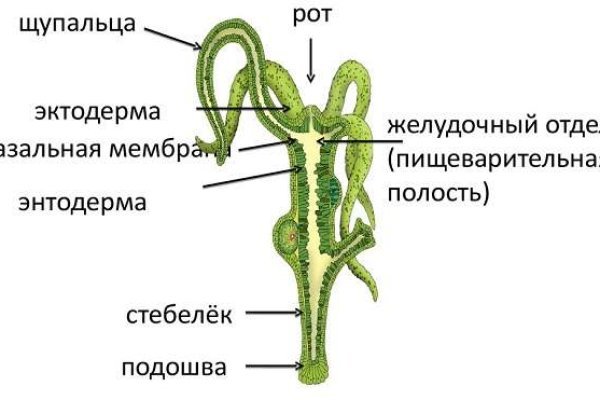 Mega клир ссылка megadarknet de